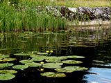 images/Environment/Environment_11.JPG