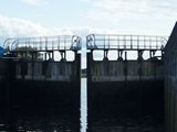 images/Environment/Environment_13.JPG