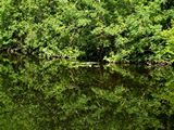 images/Environment/Environment_15.JPG