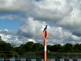 images/Environment/Environment_19.JPG