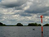 images/Environment/Environment_9.JPG